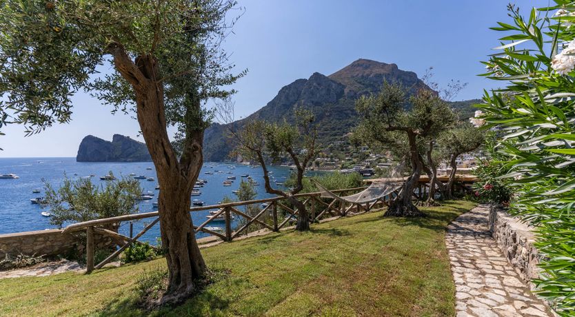 Photo of Limoncello Bliss