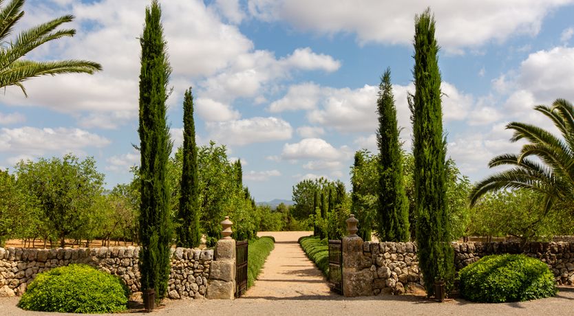 Photo of Antique Glory