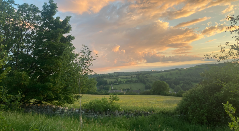 Photo of Gloucestershire Gem