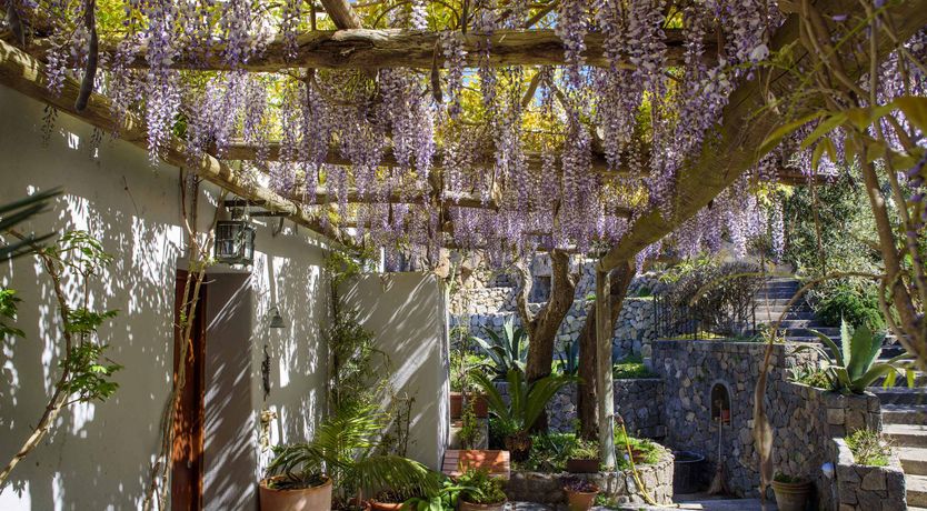 Photo of Ischian Idyll