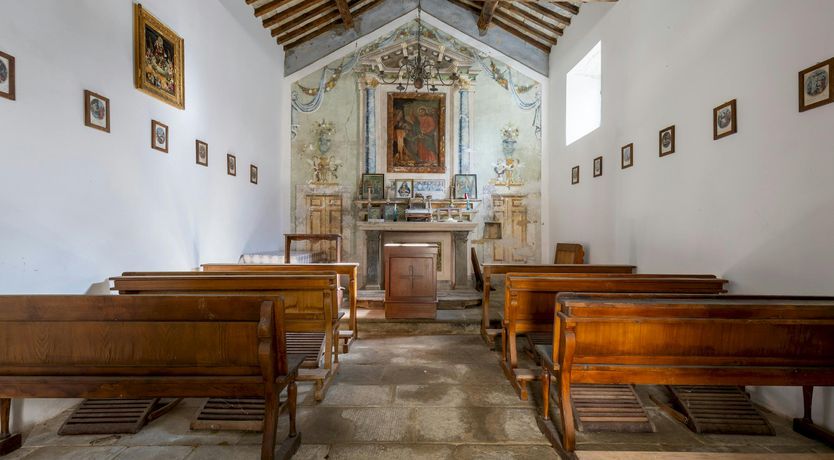 Photo of The Scent of Hydrangeas