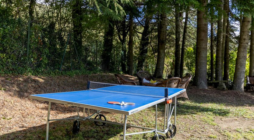 Photo of The Scent of Hydrangeas