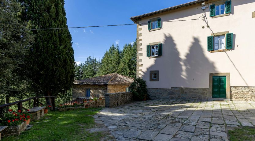 Photo of The Scent of Hydrangeas