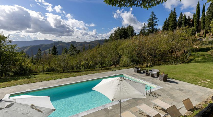 Photo of The Scent of Hydrangeas