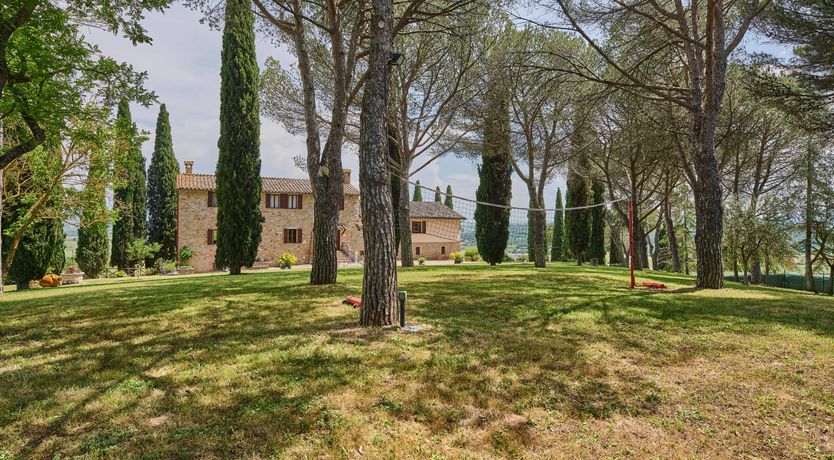 Photo of A Golden Crown