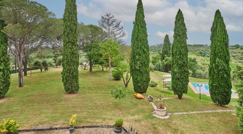 Photo of A Golden Crown