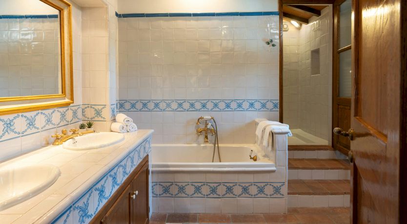 Photo of Vineyards & Stone