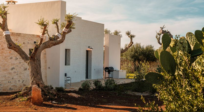 Photo of The Apulian Forest