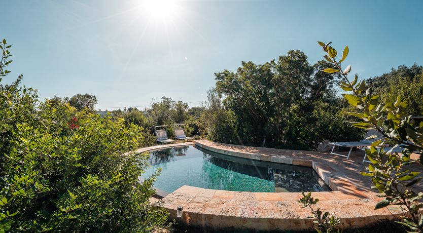 Photo of The Apulian Forest