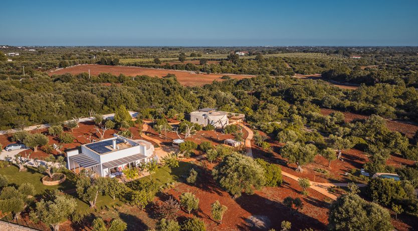 Photo of The Apulian Forest