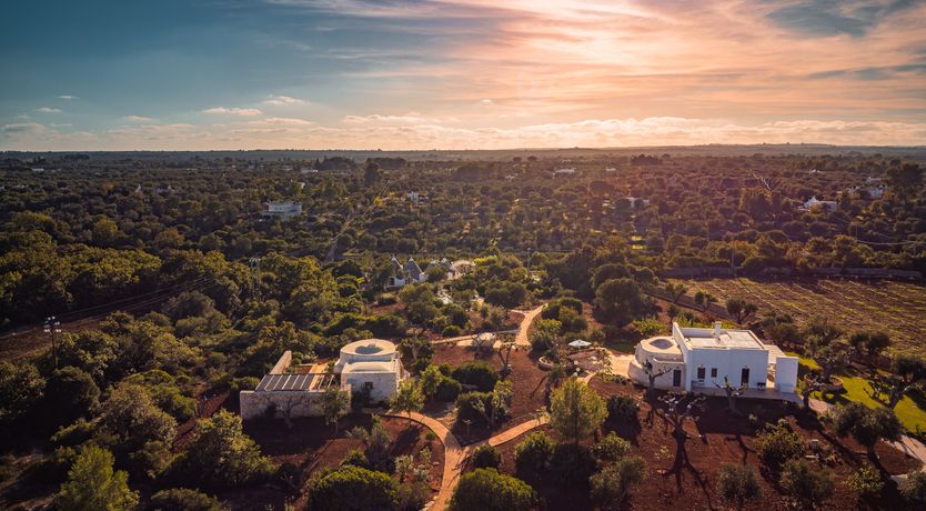 Photo of The Apulian Forest