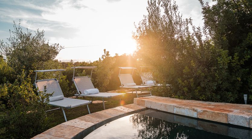 Photo of The Apulian Forest