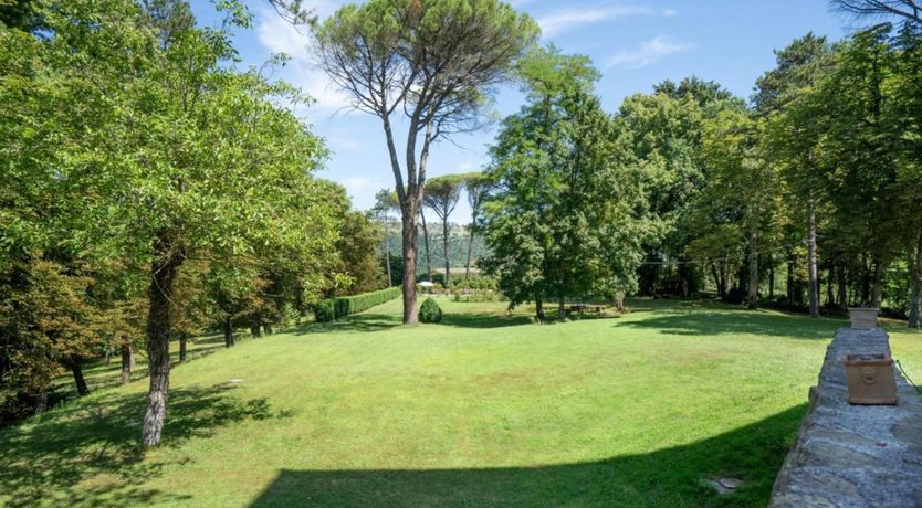 Photo of Master of the Light