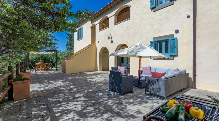 Photo of Tuscan Sunflower