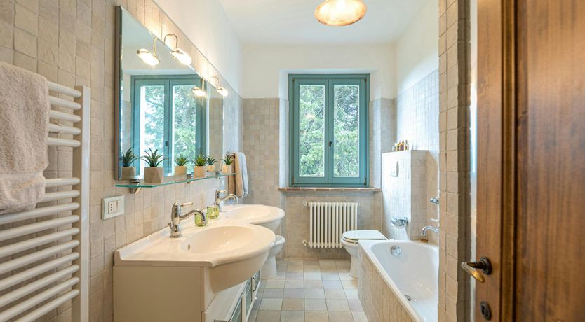 Photo of Tuscan Sunflower