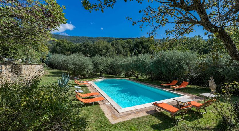 Photo of Tuscan Sunflower