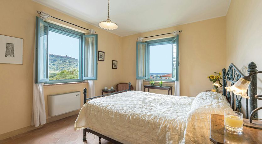 Photo of Tuscan Sunflower