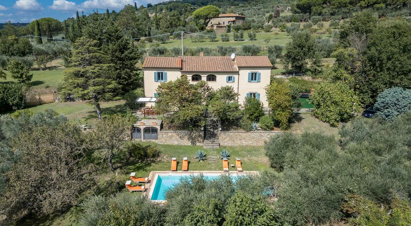 Photo of Tuscan Sunflower