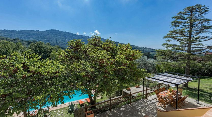 Photo of Tuscan Sunflower