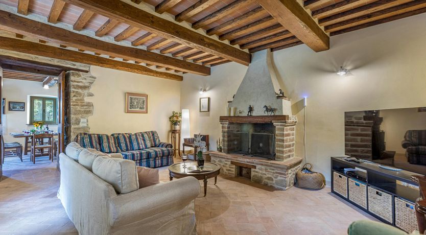 Photo of Tuscan Sunflower