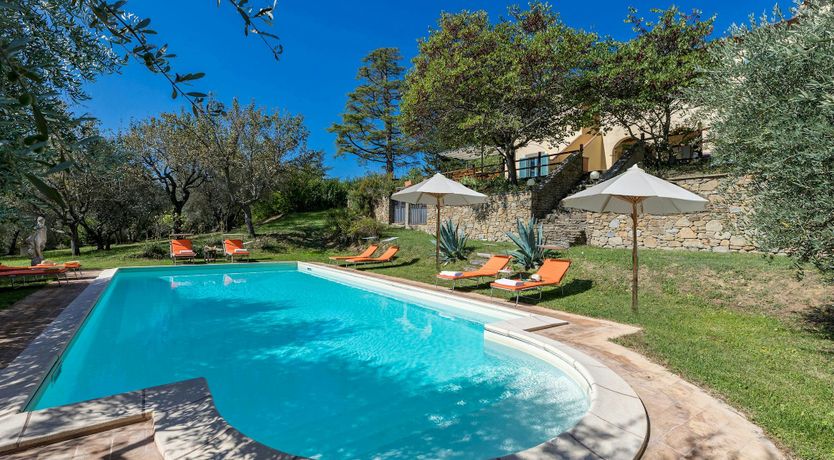 Photo of Tuscan Sunflower