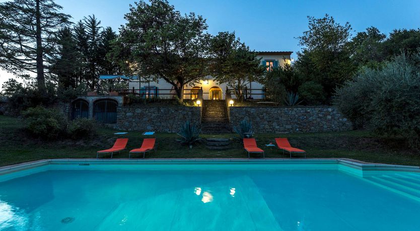 Photo of Tuscan Sunflower