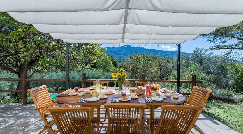 Photo of Tuscan Sunflower