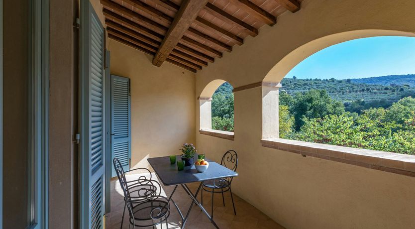 Photo of Tuscan Sunflower