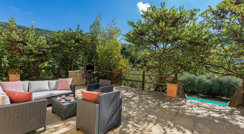 Photo of Tuscan Sunflower