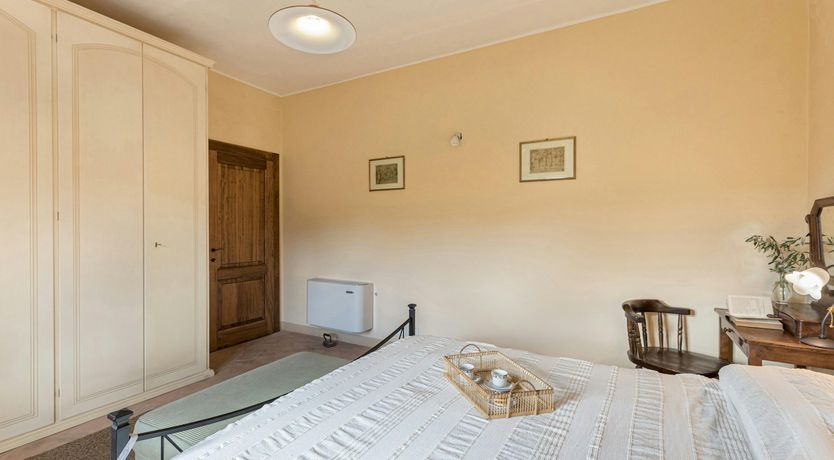 Photo of Tuscan Sunflower