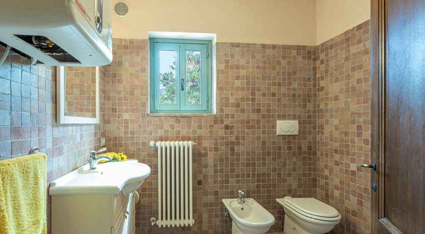 Photo of Tuscan Sunflower