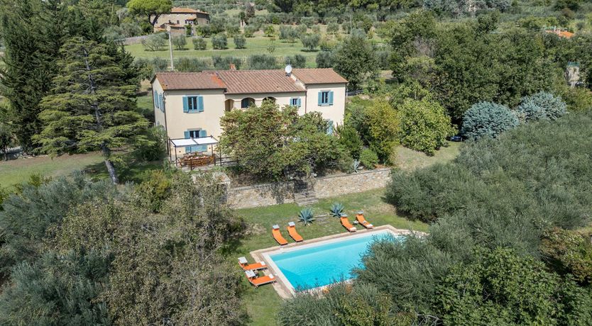 Photo of Tuscan Sunflower