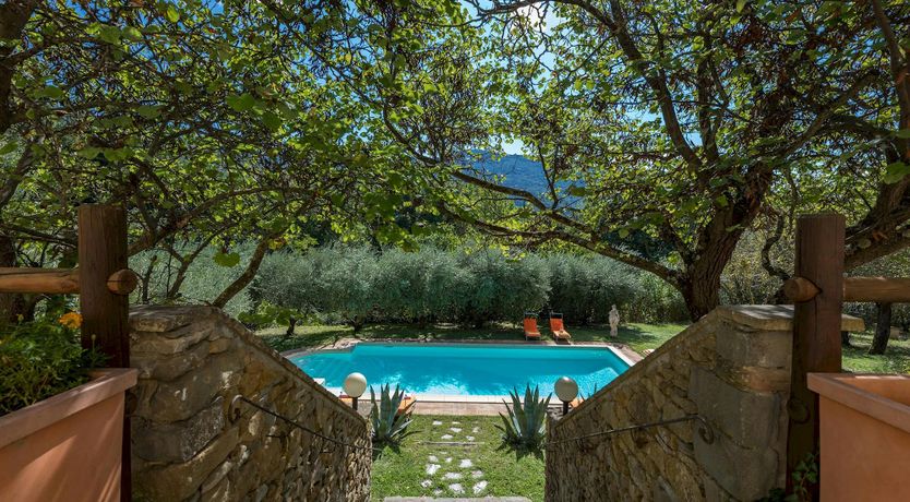 Photo of Tuscan Sunflower