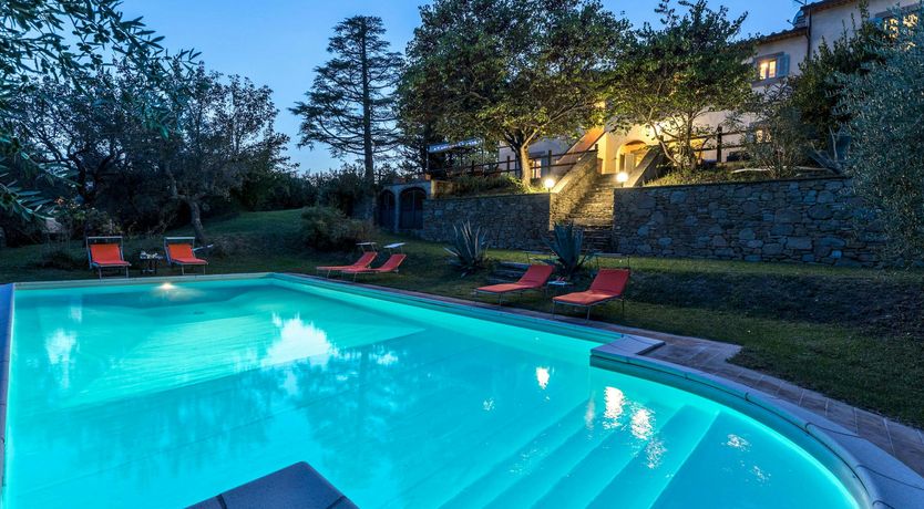 Photo of Tuscan Sunflower