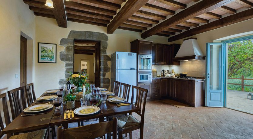 Photo of Tuscan Sunflower