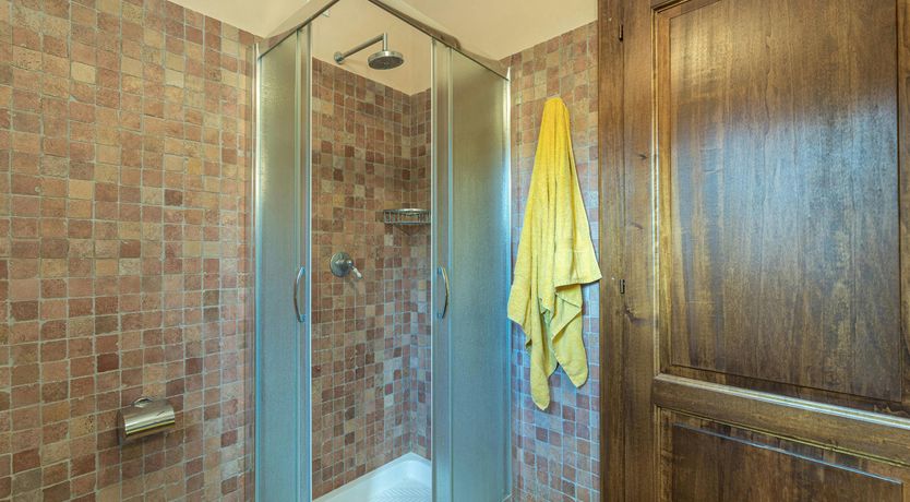 Photo of Tuscan Sunflower