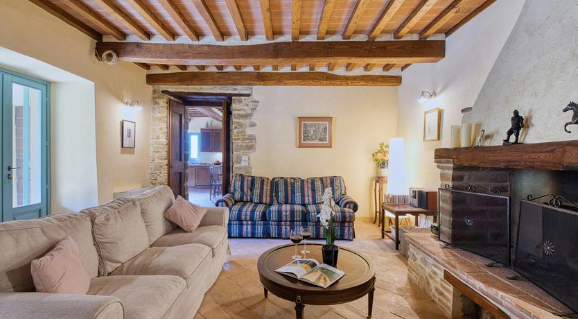 Photo of Tuscan Sunflower