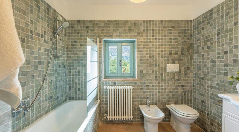 Photo of Tuscan Sunflower