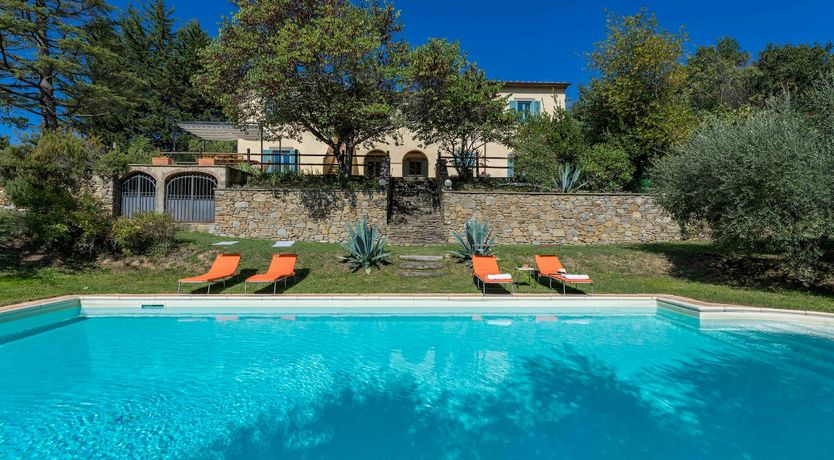 Photo of Tuscan Sunflower