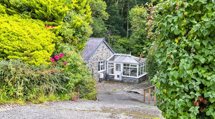 Photo of River Reverie