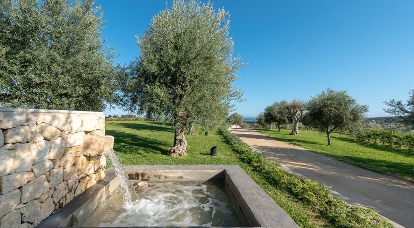 Photo of Sicilian Olives