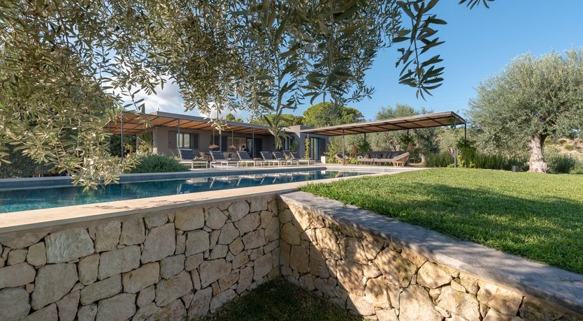 Photo of Sicilian Olives