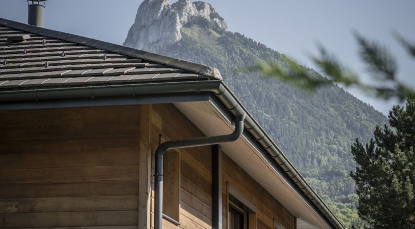 Photo of The Parmelan