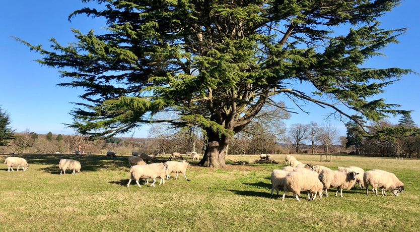 Photo of River & Romance