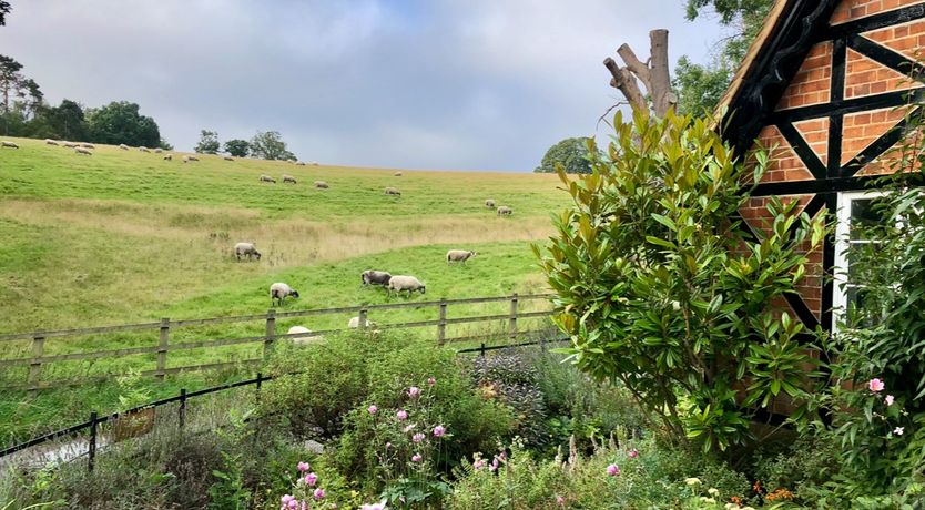 Photo of River & Romance