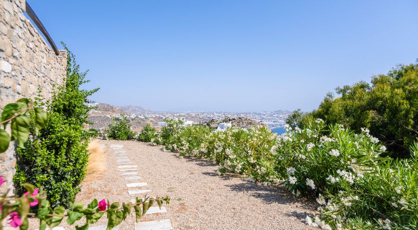 Photo of White-Washed Wonderland