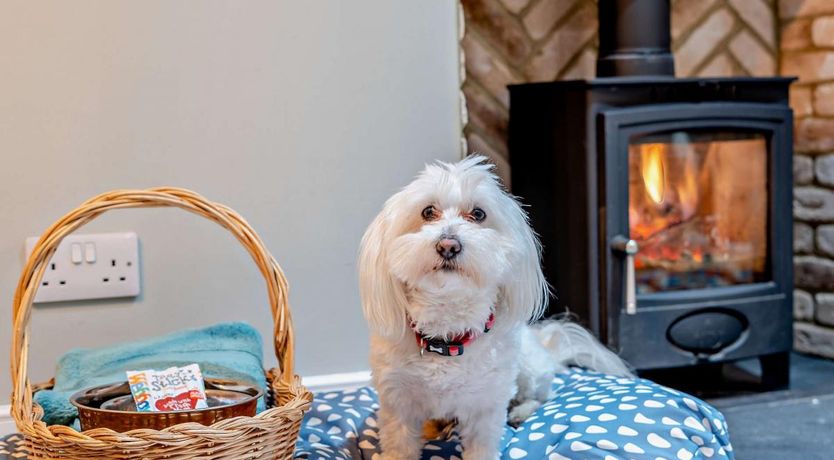 Photo of 1 Bed in Gavinton