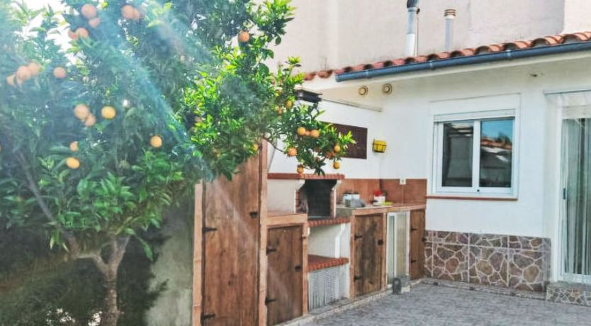 Photo of Palmera III