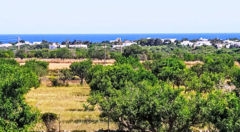 Photo of Finca del Sol