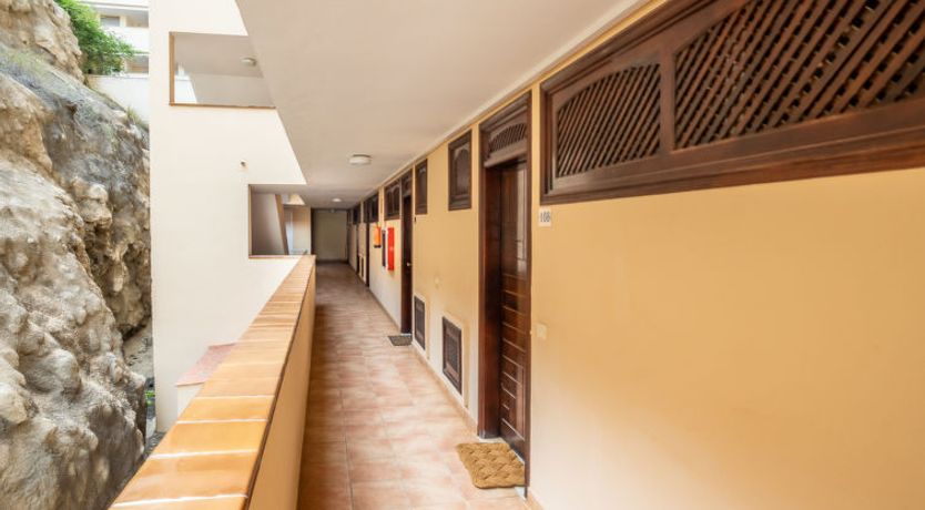 Photo of Flamingo on the south next to the beach